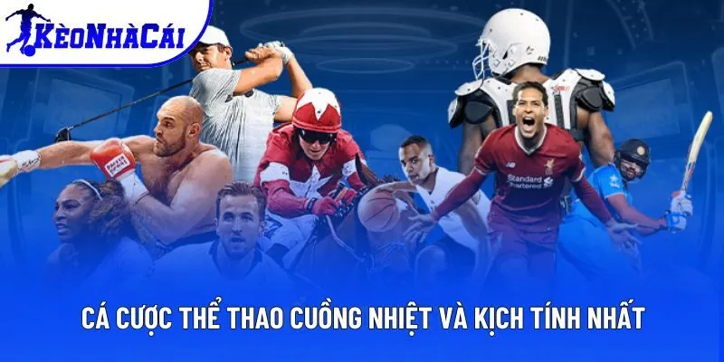 Cá cược thể thao cuồng nhiệt và kịch tính nhất Cá cược thể thao cuồng nhiệt và kịch tính nhất