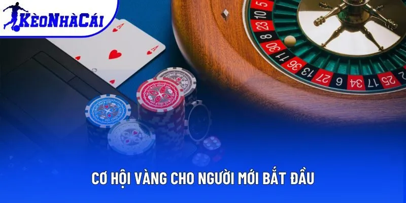 Bước đệm tuyệt vời cho người mới nhập cuộc Bước đệm tuyệt vời cho người mới nhập cuộc