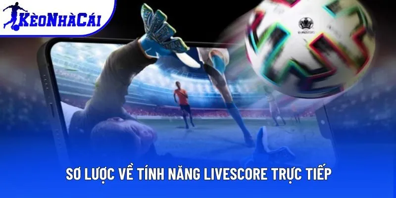Sơ lược về tính năng livescore trực tiếp Sơ lược về tính năng livescore trực tiếp